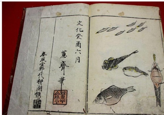鳥獣略画式と北尾政美